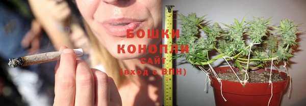 мет Горно-Алтайск