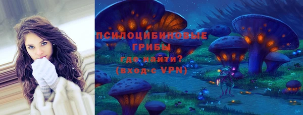мет Горно-Алтайск